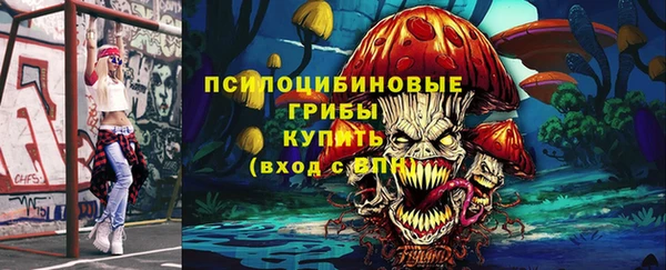 2c-b Армянск