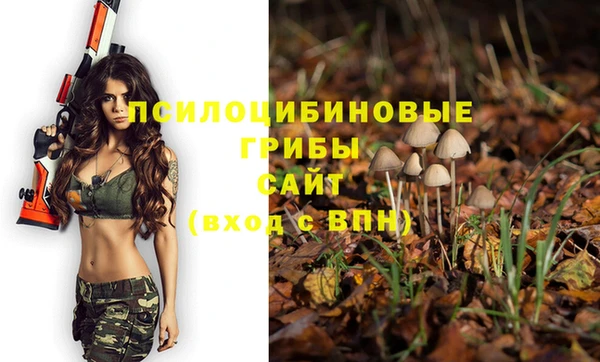 spice Арсеньев