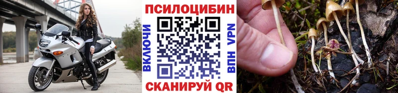 Псилоцибиновые грибы прущие грибы  гидра рабочий сайт  Приморско-Ахтарск  где купить наркотик 